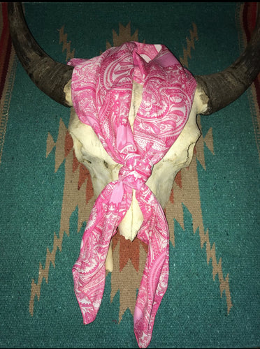 Perfect Pink Paisley 36”