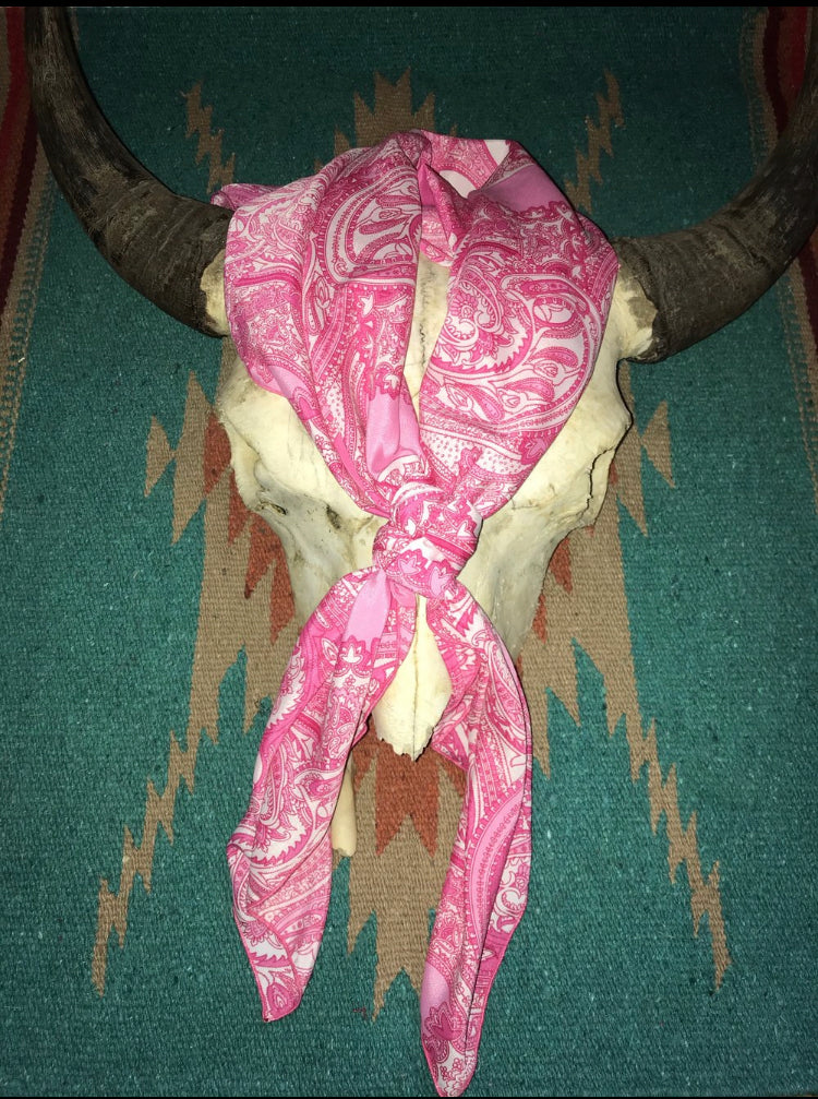 Perfect Pink Paisley 36”